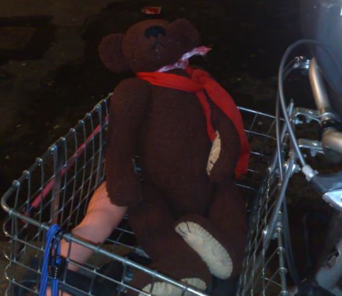 bear-in-bike-basket-small