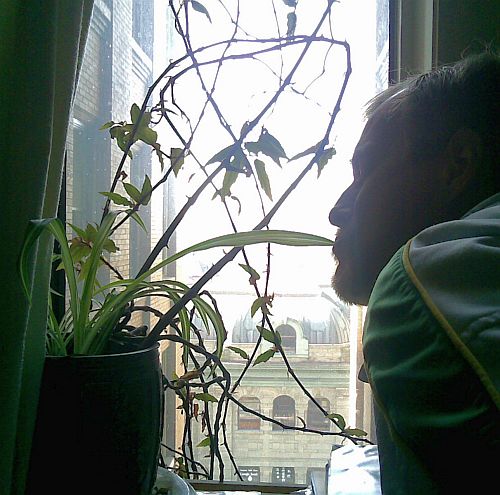 window-covered-with-wines-2