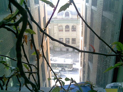 window-covered-with-wines2