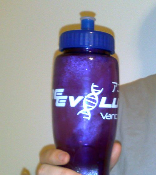 anime evolution 2 anime evolution 2