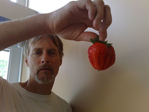 Big strawberry 1
