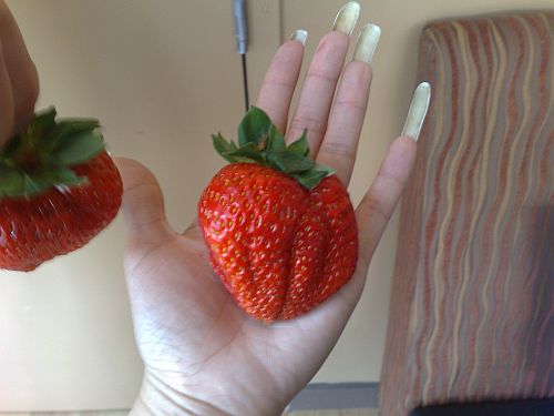 Big strawberry 3