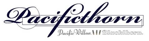 Pacificthorn Launch Party 0