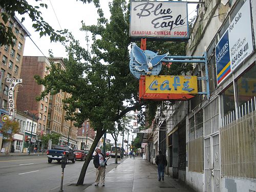 Apple tree on Hastings 1