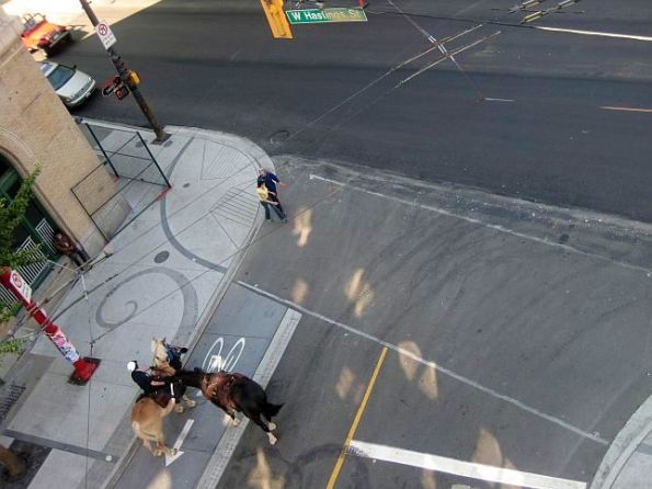 Vancouver Police on Horses 16