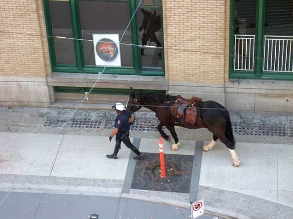 Vancouver Police on Horses 24