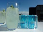 Bombay Sapphire Event in Vancouver 21