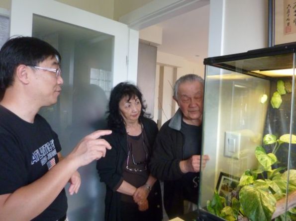 David, Val and Gary learning about frogs