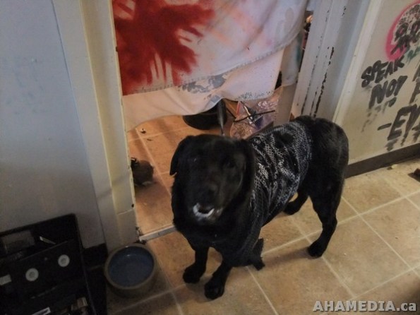 21 AHA MEDIA films inside Homeless Shelter to be closed down in Vancouver