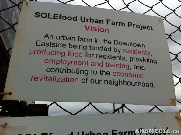 6 AHA MEDIA filmed DTES NH Right to Food Murals going up