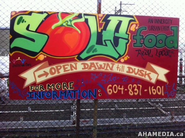 7 AHA MEDIA filmed DTES NH Right to Food Murals going up