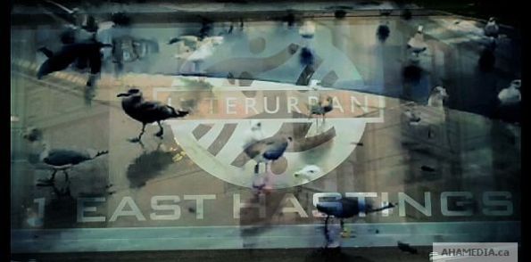 1 AHA MEDIA Experimental film (1)