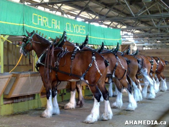 29 AHA MEDIA at PNE in Vancouver