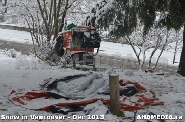 39 AHA MEDIA sees Snowfall in Vancouver Dec 2013
