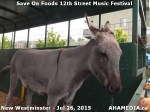 34 AHA MEDIA at Save On Foods 12th Street Music Festival&nbsp;2015